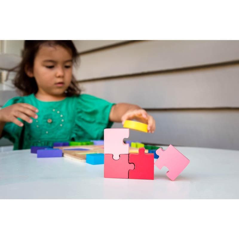 Jigsaw Shape Fraction Puzzle