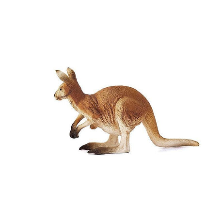 Kangaroo