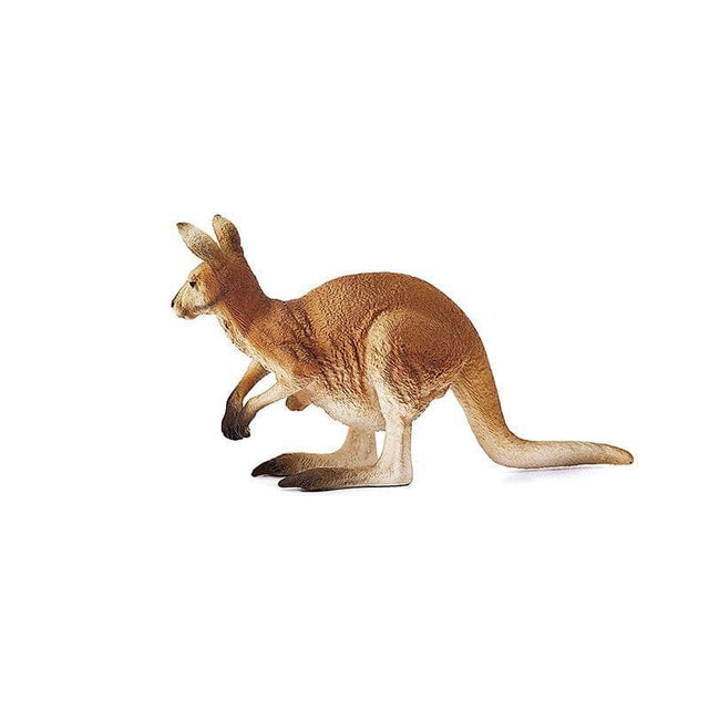 Kangaroo