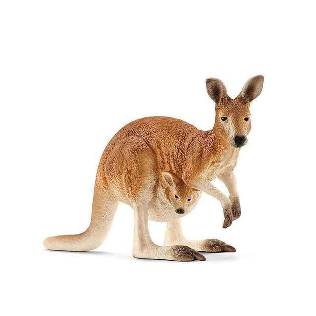 Kangaroo