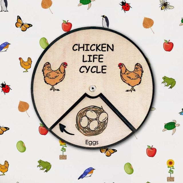 Learning Wheels - Animal Lifecycles