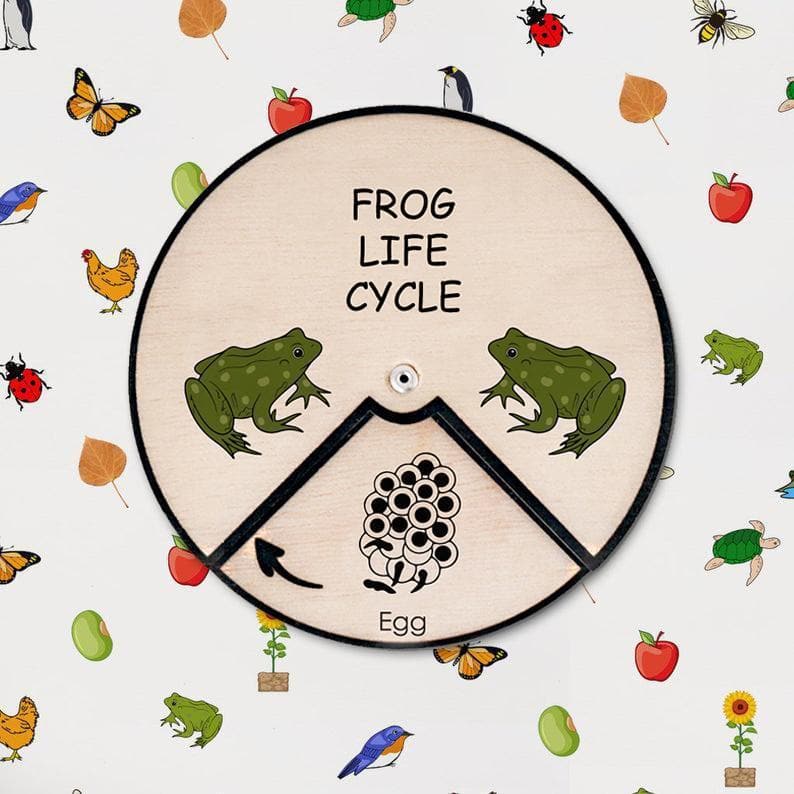 Learning Wheels - Animal Lifecycles