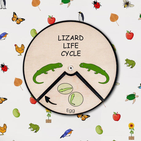 Learning Wheels - Animal Lifecycles