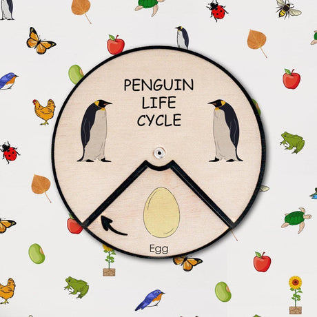 Learning Wheels - Animal Lifecycles