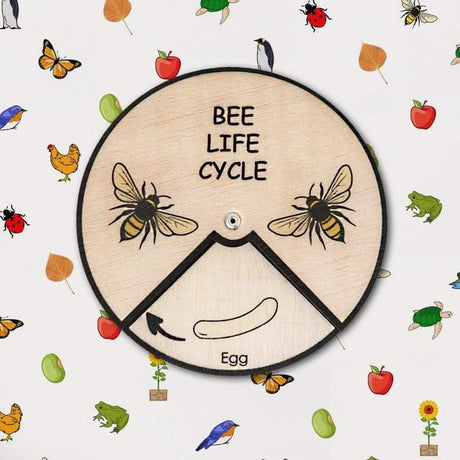 Learning Wheels - Animal Lifecycles