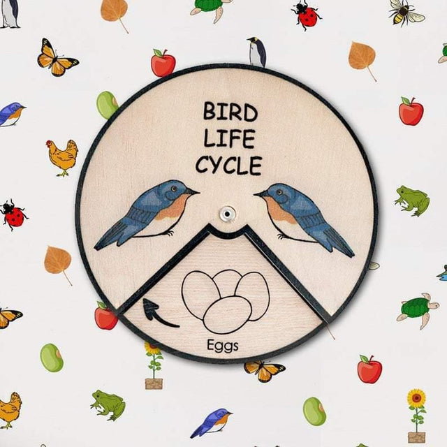Learning Wheels - Animal Lifecycles