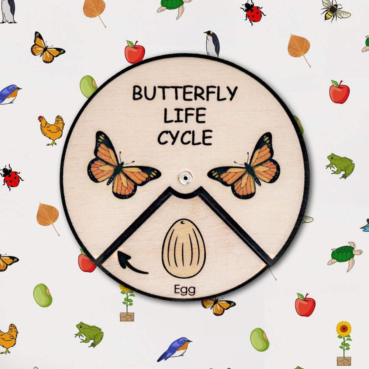 Learning Wheels - Animal Lifecycles