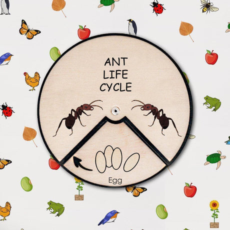 Learning Wheels - Animal Lifecycles