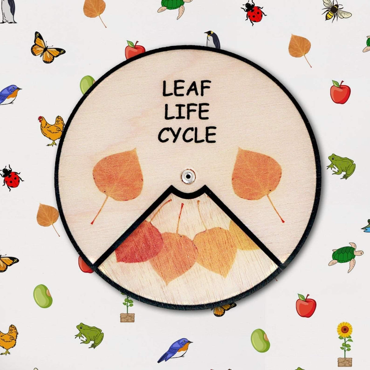 Learning Wheels - Nature Lifecycles