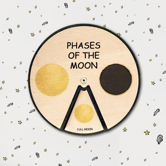 Learning Wheels - Nature Lifecycles