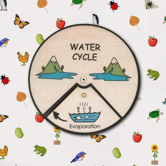 Learning Wheels - Nature Lifecycles