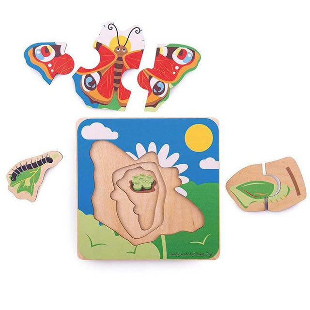 Lifecycle Layer Puzzle - Butterfly