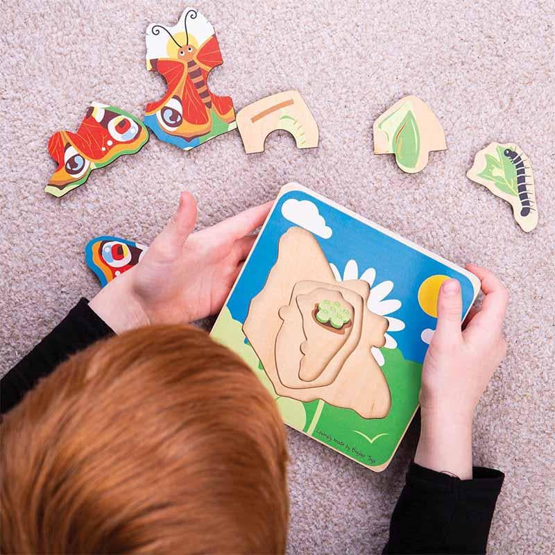 Lifecycle Layer Puzzle - Butterfly