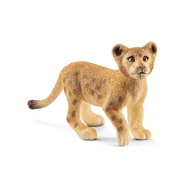 Lion Cub