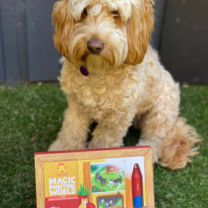 Magic Painting World - Pets