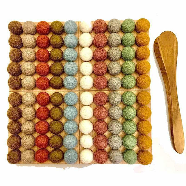 Montessori Board Earth/101pc