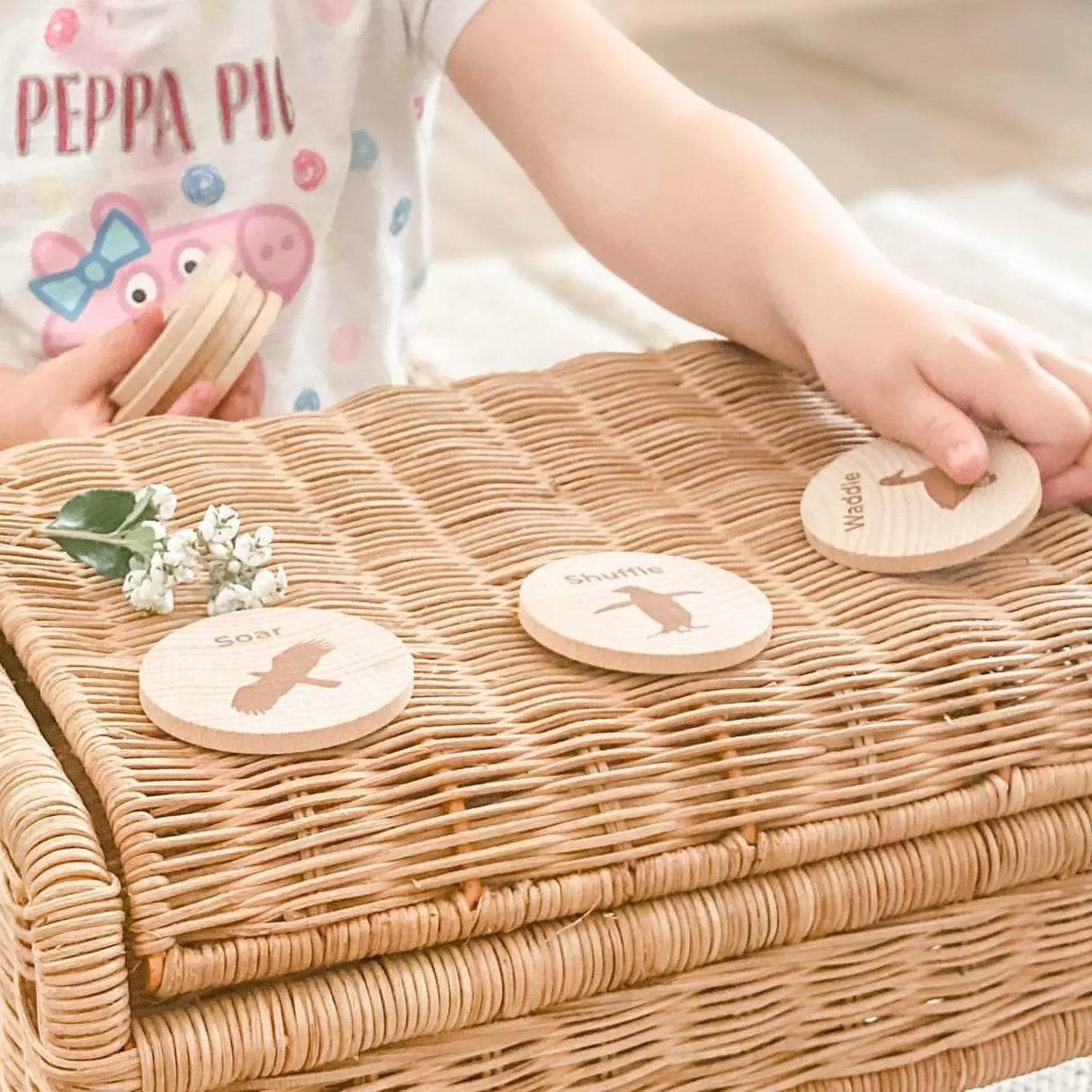 Move Your Body Discs - Animals