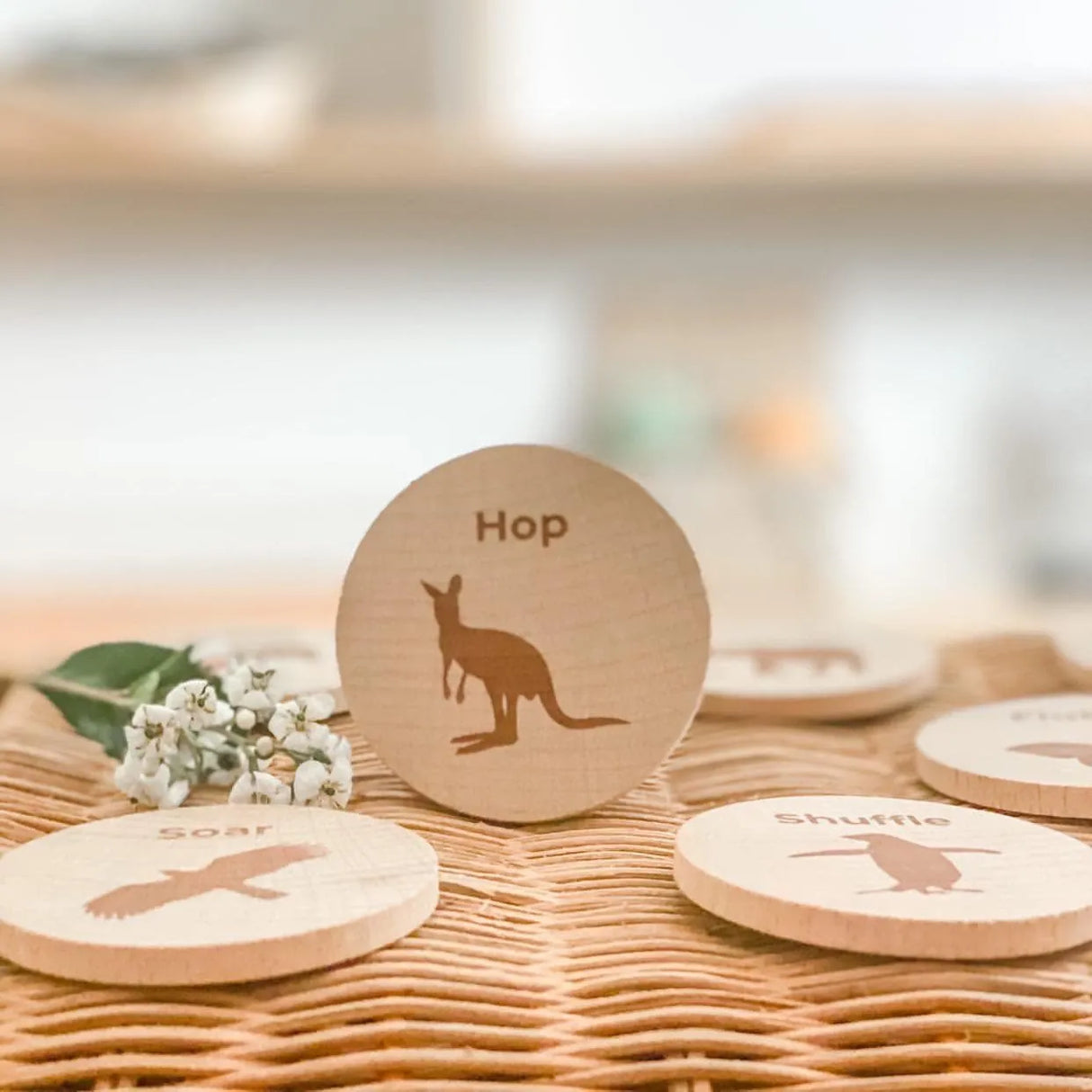 Move Your Body Discs - Animals