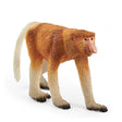 Proboscis Monkey
