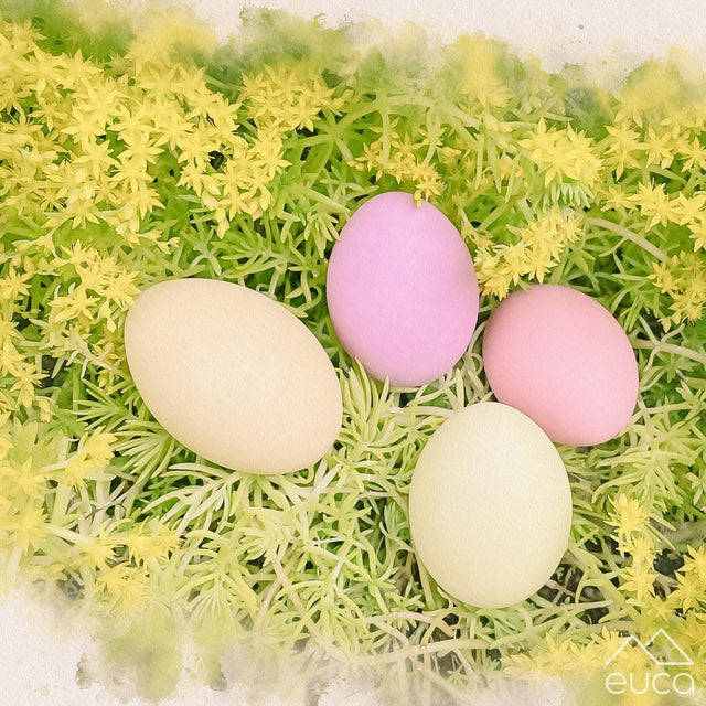 Rainbow Eggs