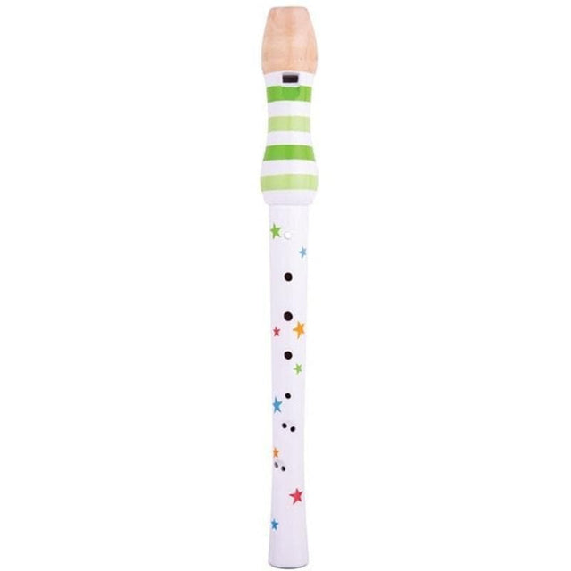 Recorder - Bigjigs Toys