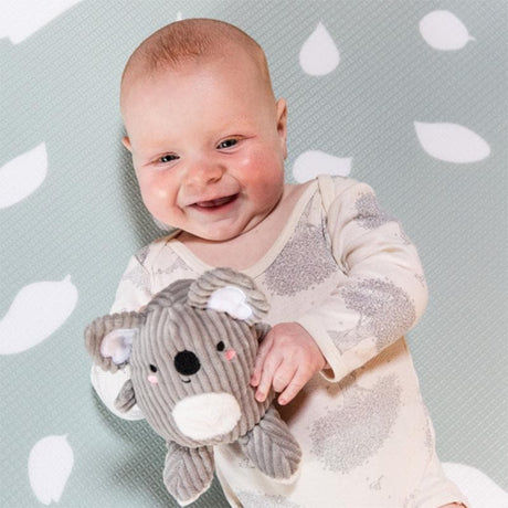 Sensory Set - Koala Buddies