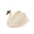 Swan
