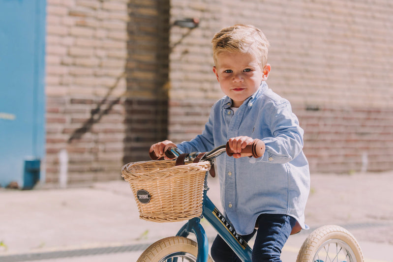 Steel Trybike Basket