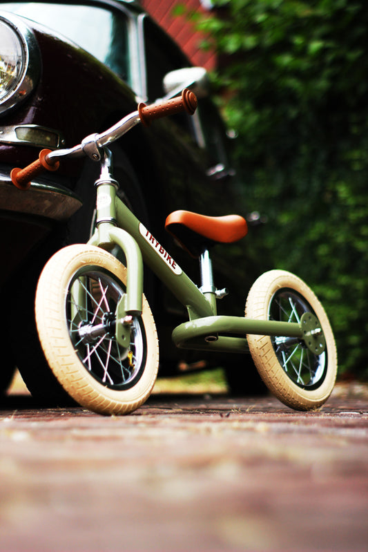 Matte Green Vintage Trybike