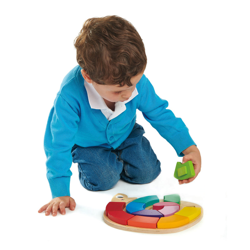 Colour Me Happy - Wooden Worm Puzzle
