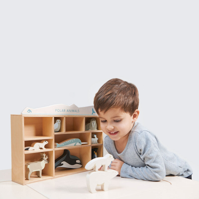 Polar Animals Display Shelf Set