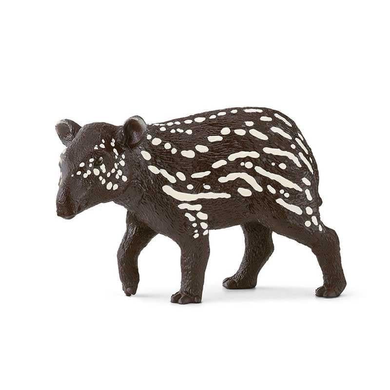 Tapir Baby