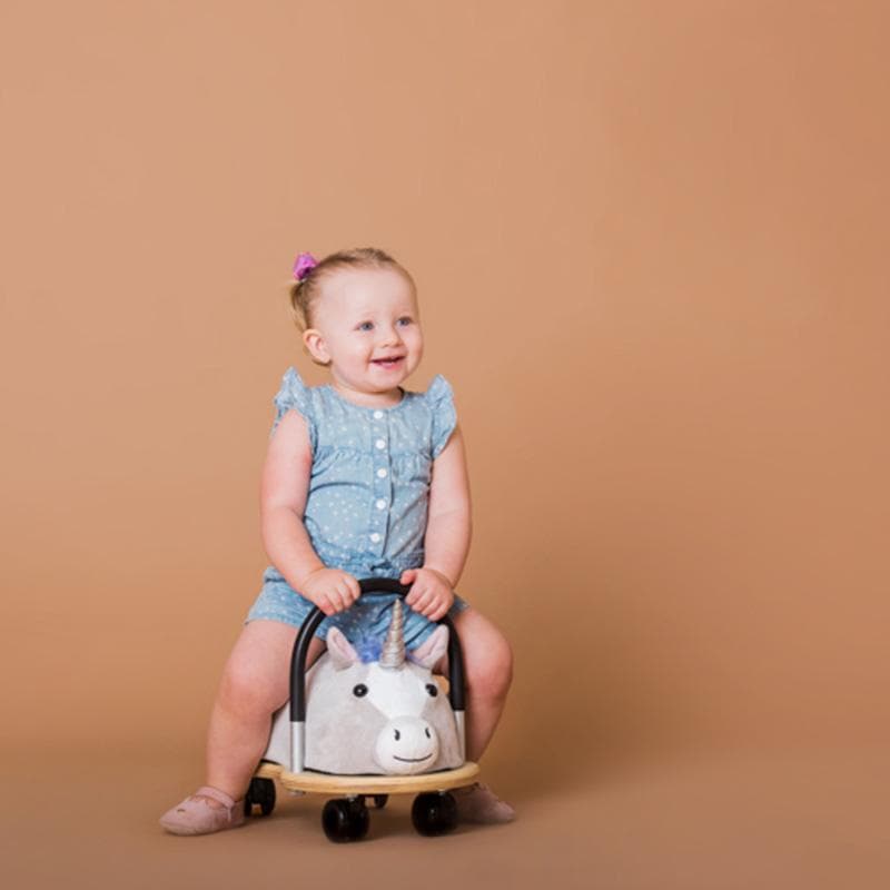 Unicorn Plush Combo - Ride-On