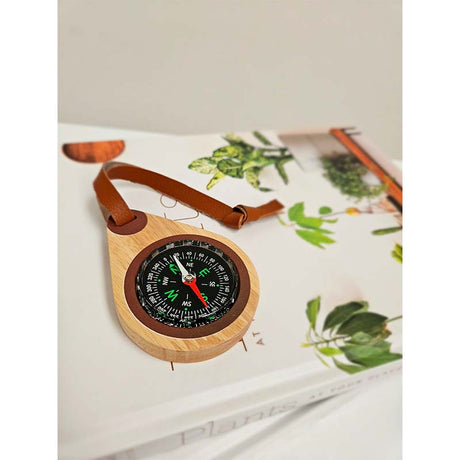 Wooden compass