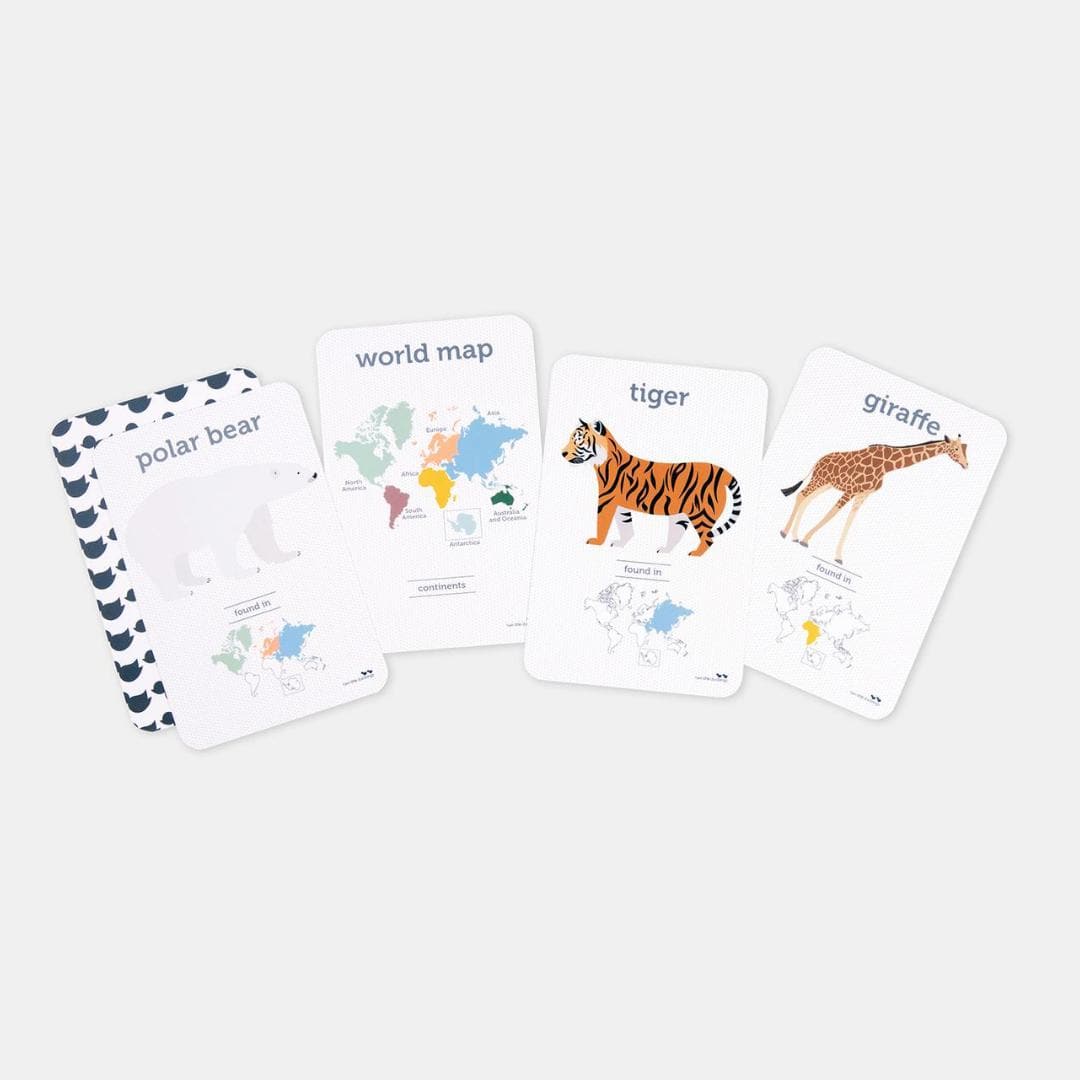 World Animals Flash Cards