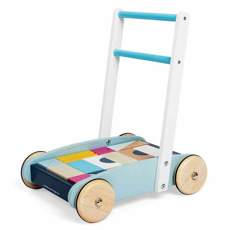 Baby Walker with Bricks