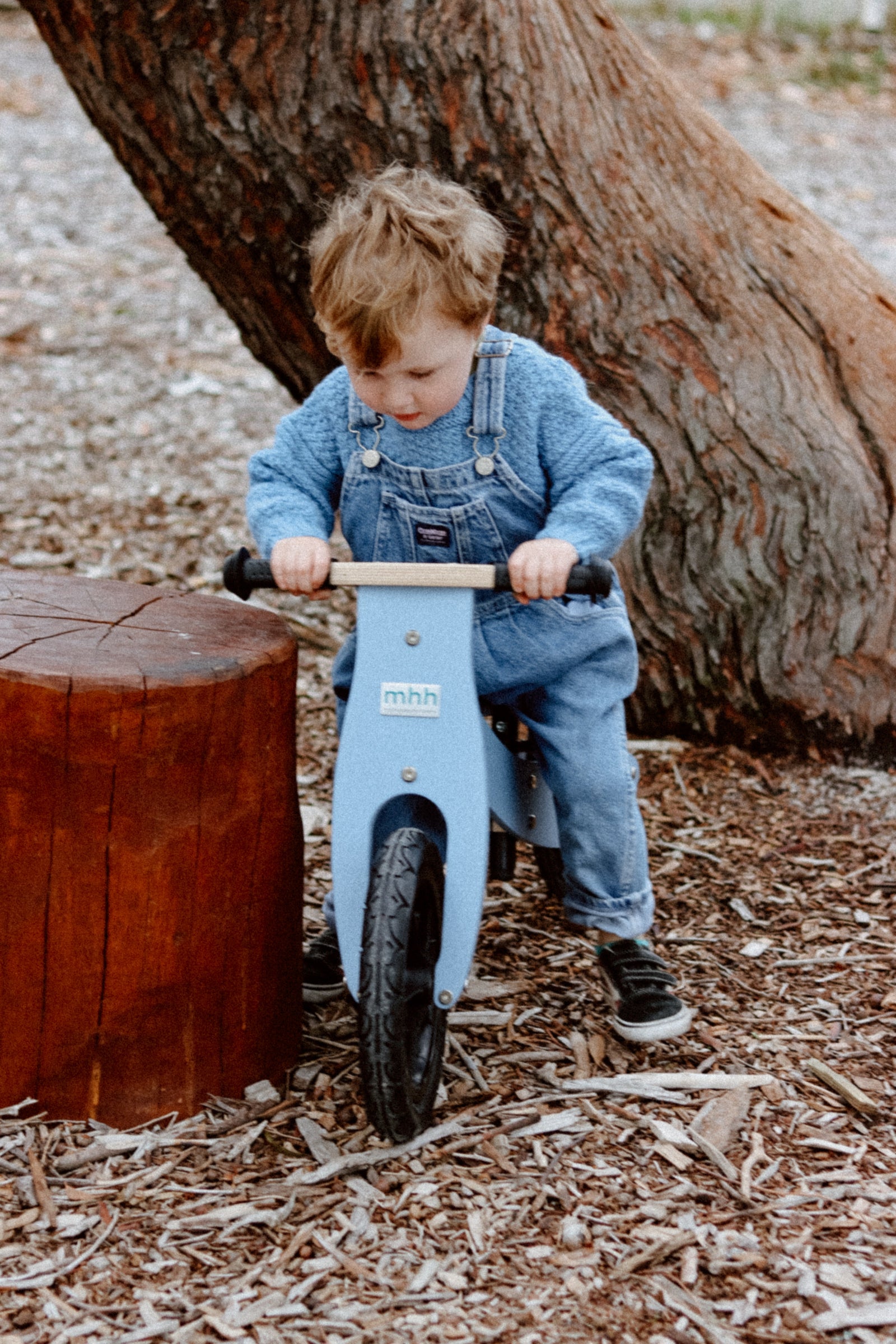 How to Choose the Right Size Balance Bike