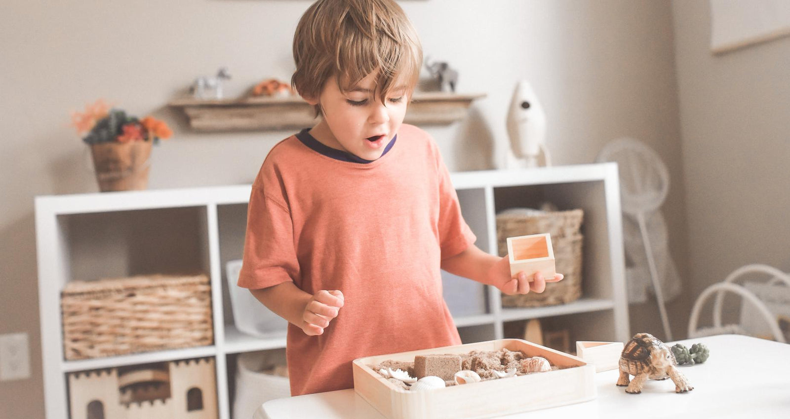 Best Wooden Toys in Australia