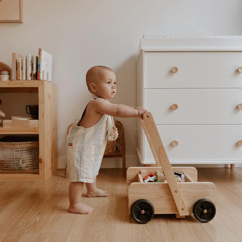 Baby Walker