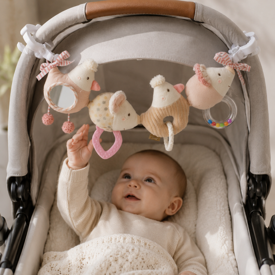 Pram Toys