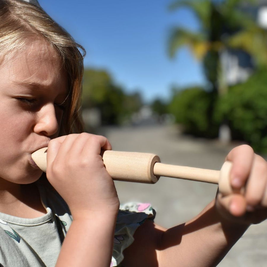 A selection of oral motor toys