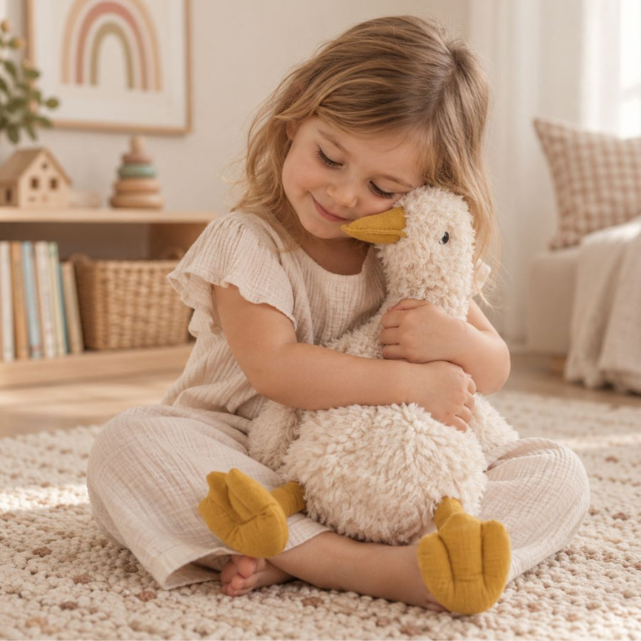 Plush Toys set out ready for play