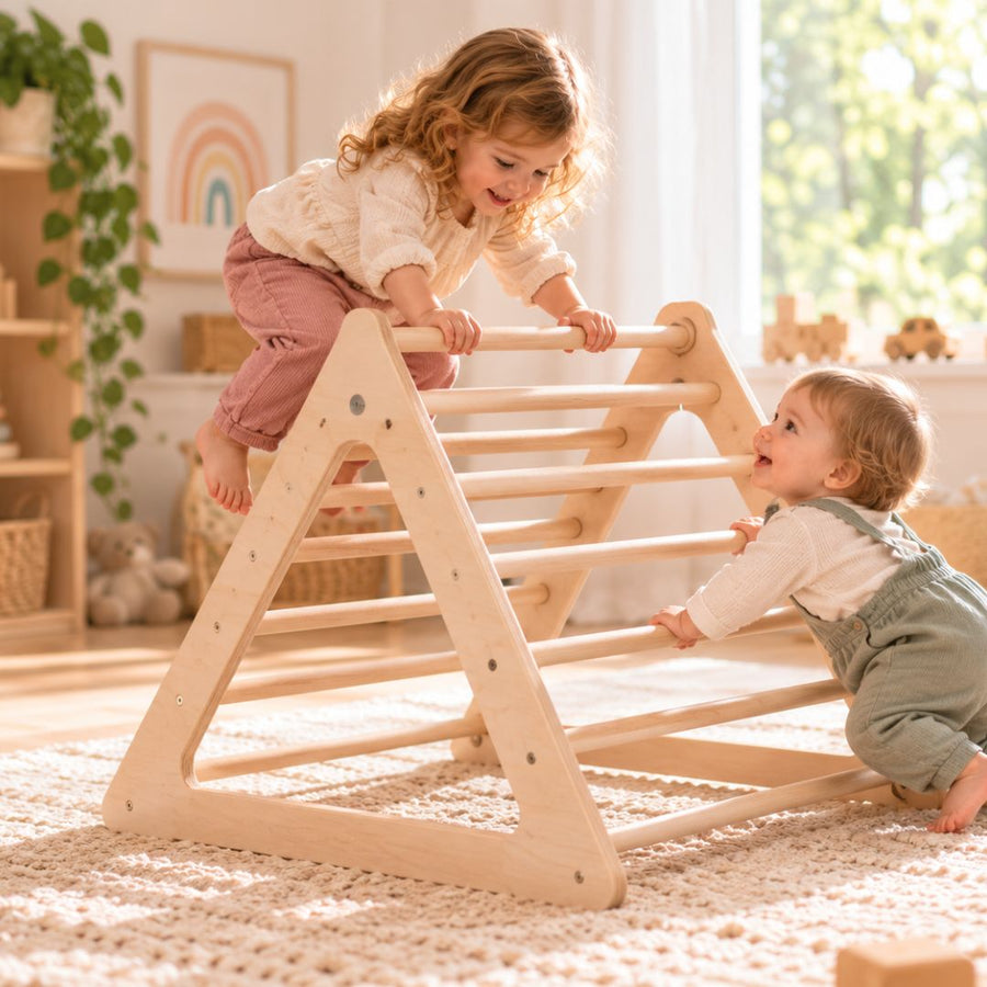 Climbing Frames