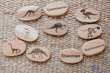 Dinosaur Stones Set of 10