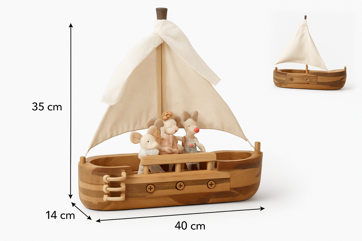 Adventure Ship