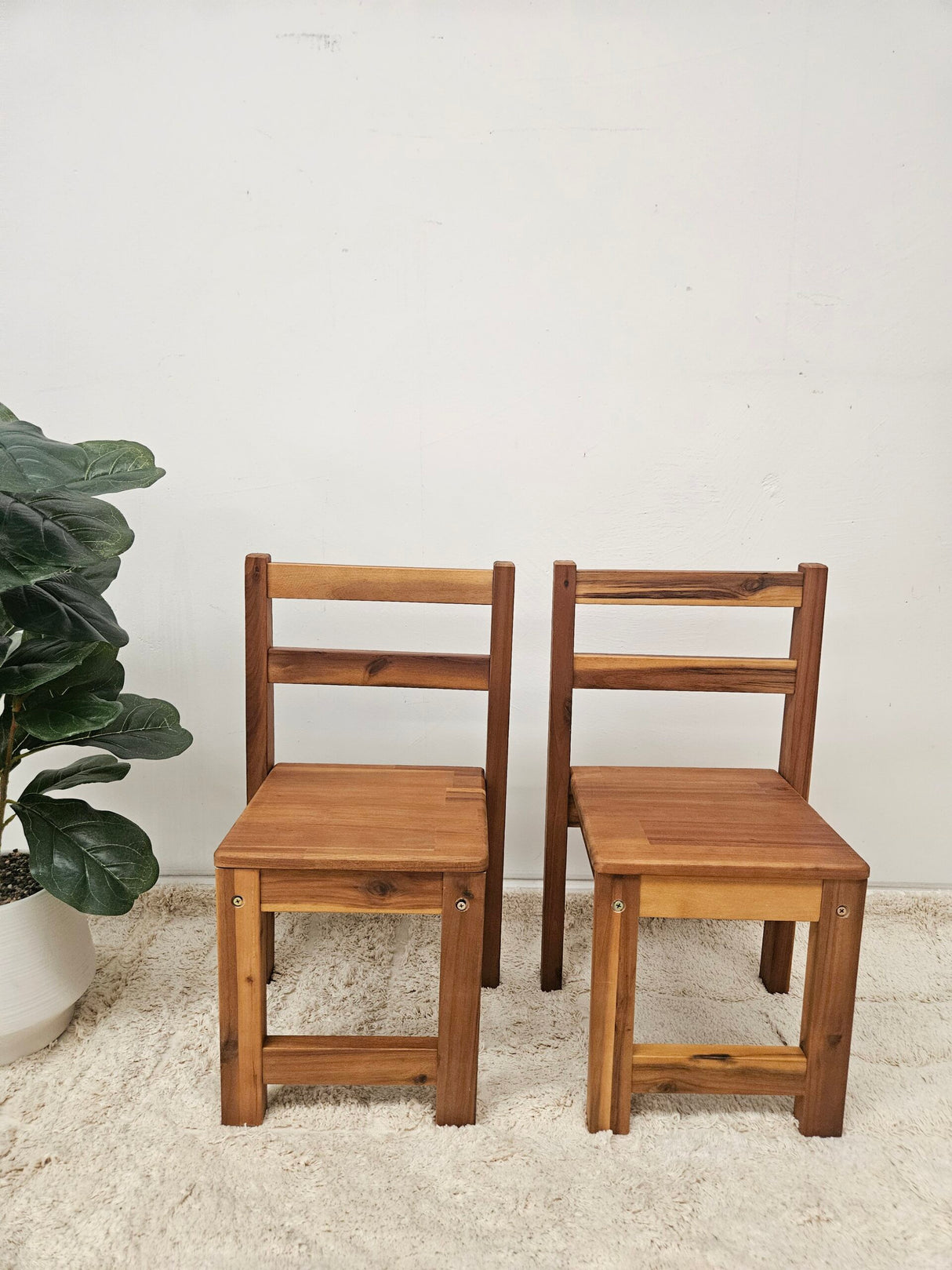 Standard Chair – Acacia (Set of 2)