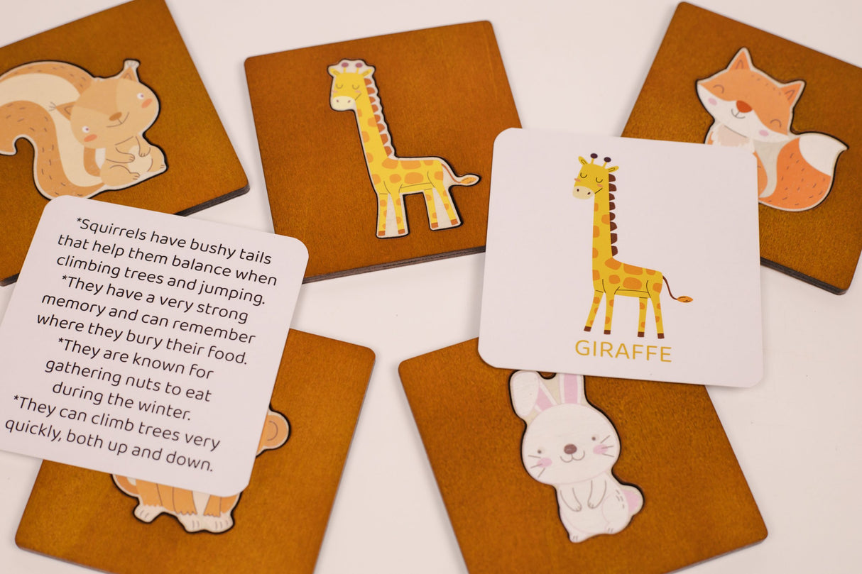 My First Wildlife Learning Set