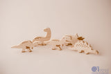 Dinosaurs – Set of 5