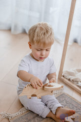 Dinosaurs – Set of 5