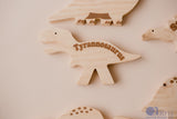 Dinosaurs – Set of 5